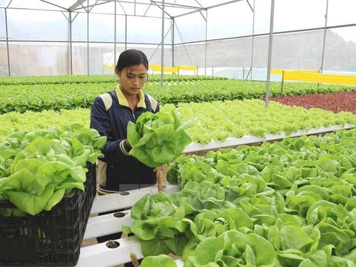Tin tức & Giá trị cốt lõi